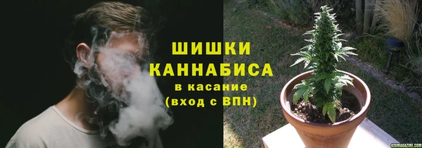 дмт Заводоуковск