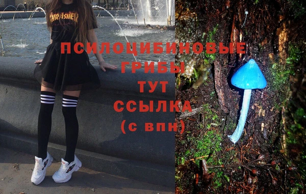 герыч Зеленодольск