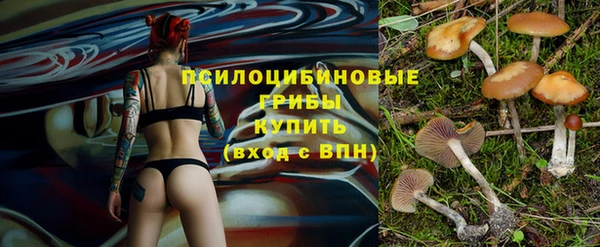 spice Ельня