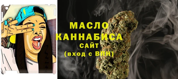 дмт Заводоуковск