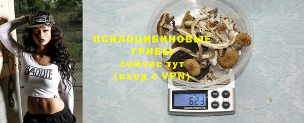 PSILOCYBIN Зеленокумск