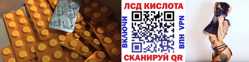 OMG онион Каргополь Лсд 25 экстази кислота купить наркоту