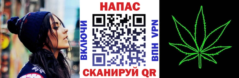 Шишки марихуана гибрид  Каргополь 